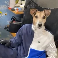 Imagem de avatar de Felizicontente