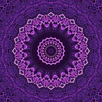 alexhh13's Profile Pic