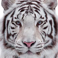 Foto de perfil de ooiik1158