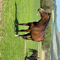 Foto del avatar de PrincessSusan001