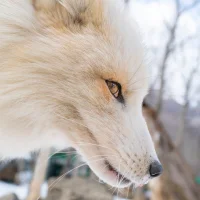 Foto del avatar de MeiChangSu_Axu