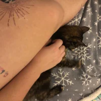 norakkk00's Profile Pic