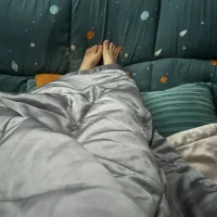 chrysanthemum258 头像图片