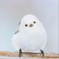 MT526's Avatar Pic
