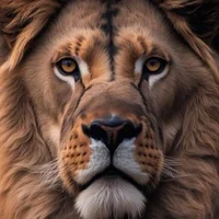 MysticLion99's Avatar Pic