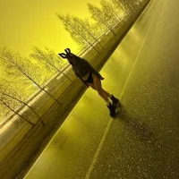 รูปโปรไฟล์ของ black_cati