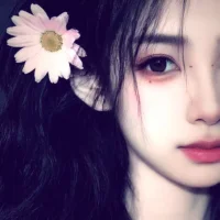 SunnyAnAn 头像图片
