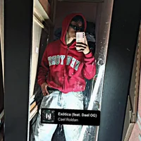 Ferdp Immagine Avatar