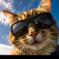 JumboFriend's profielfoto