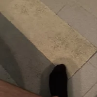 Misterfister455의 프로필 사진