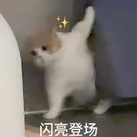 Winter-05 Gambar Avatar