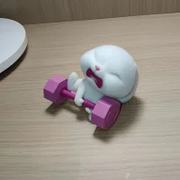 Shuir 头像图片