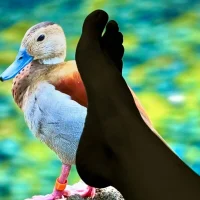 Bellapisadita's Profile Pic