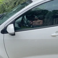 germancuteboy Profilový obrázek