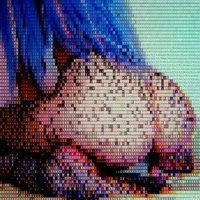 Ảnh đại diện của misslunablu69