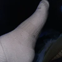 bigplut webcam