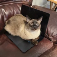 ExpressEvening Immagine Avatar