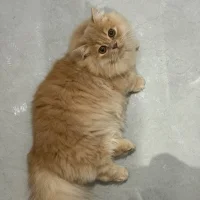 xixi_xixi_xixi 아바타 사진