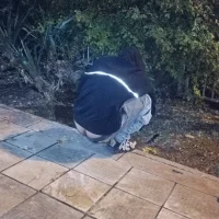 תמונת פרופיל של Armininthehole