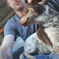 Аватар Minutemaid24