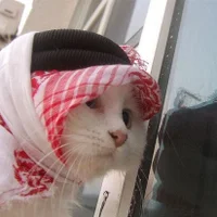 PommeDeFiguier Adlı Modelin Avatarı