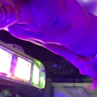 hungsolo316 - Profil Fotoğrafı