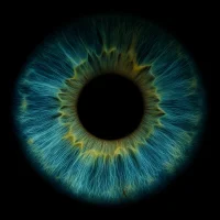 tsikyy 아바타 사진