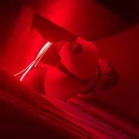 Asya_lin's Profile Pic