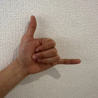 C-4bomb Poză avatar