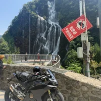 Ảnh Đại Diện SYJ0000