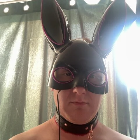 Rooierakker3000 profile photo