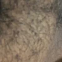 secchie's Profile Pic