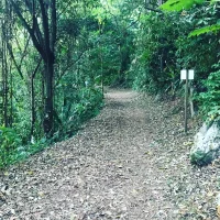 youyou973's Avatar Pic