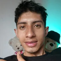 Model BIG_cockpether