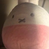 Zdjęcie profilowe modela Usagi_dot_com