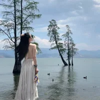 xiaoyusu-88のアバター写真