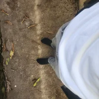 mangeso-'s Profile Pic
