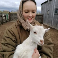 AliceRossl Poză de profil