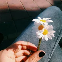 Dhlp77 Immagine Avatar