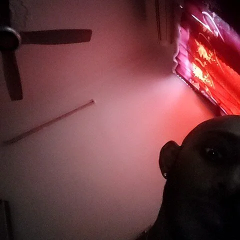 WildBtm profile photo