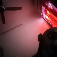 WildBtm