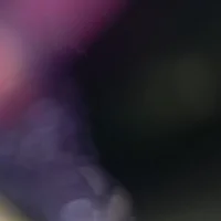 012cry webcam