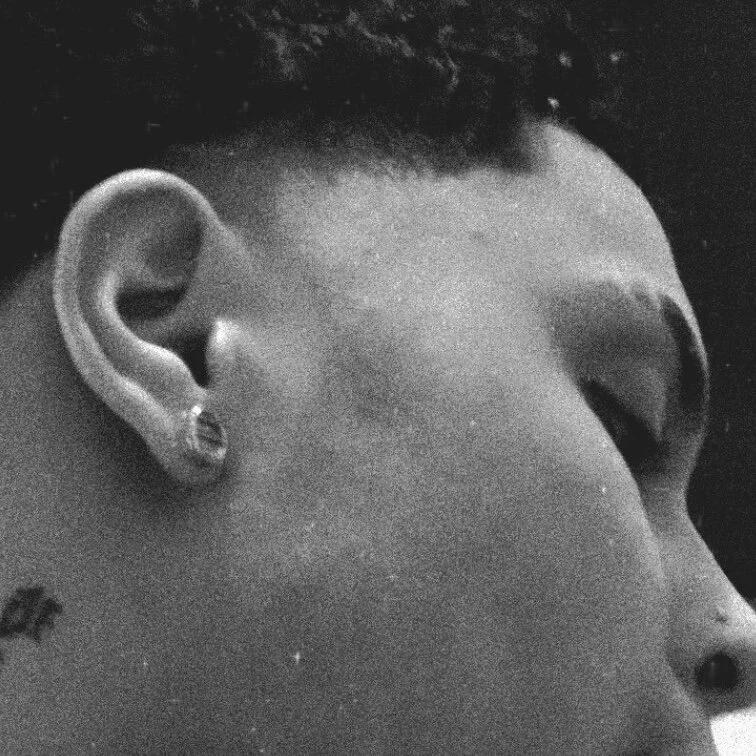 papigotit profile photo