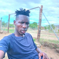 Sfanza: изображение аватарки