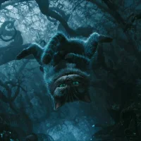 cattoblk avatarképe