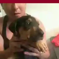 tulindocorazon Avatar-Bild