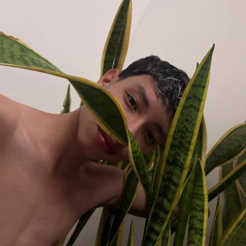 JeanLuc_Live profile photo