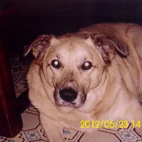 Imagem de avatar de lMICKET76