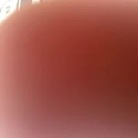 תמונת פרופיל של gastcock17