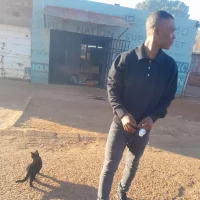 Wizzyville's Profile Pic